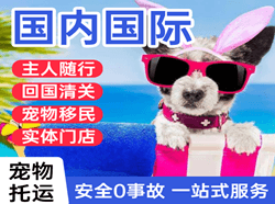 榆林榆阳机场物流国际宠物托运 【国